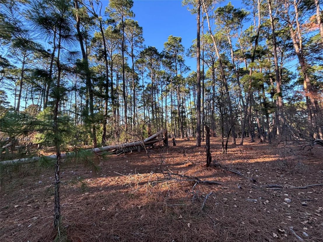Photo of 987 Stephen LN