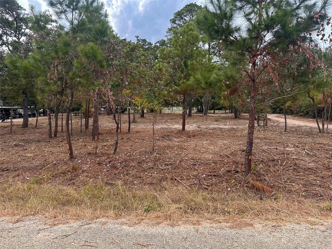 Photo of 287 Pine Hill LOOP
