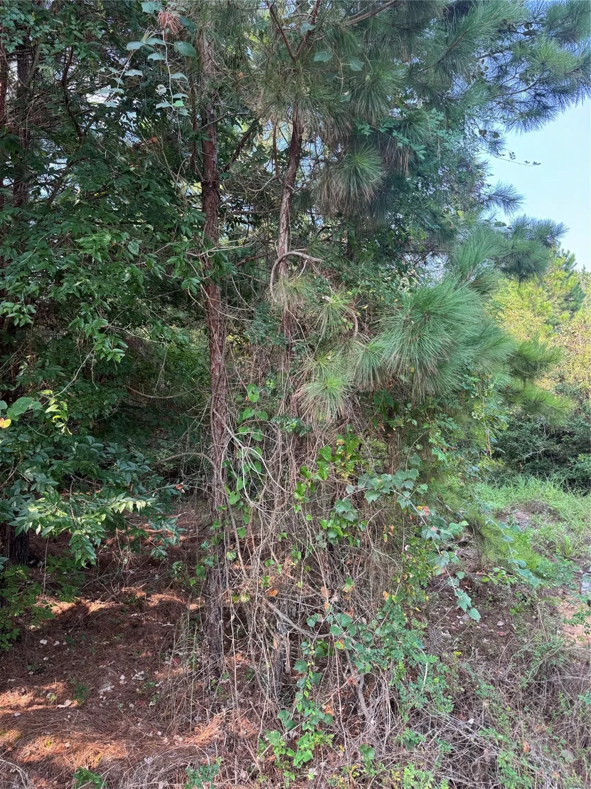 Photo of 131 Nakalele LN