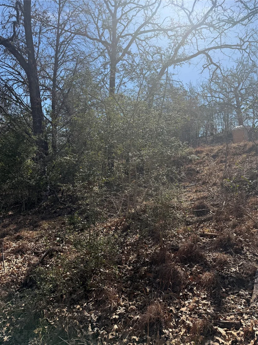 Photo of Lot 110 Wailupe CIR