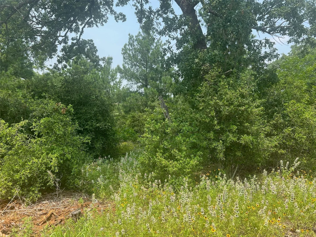 Photo of 330 Powell RD
