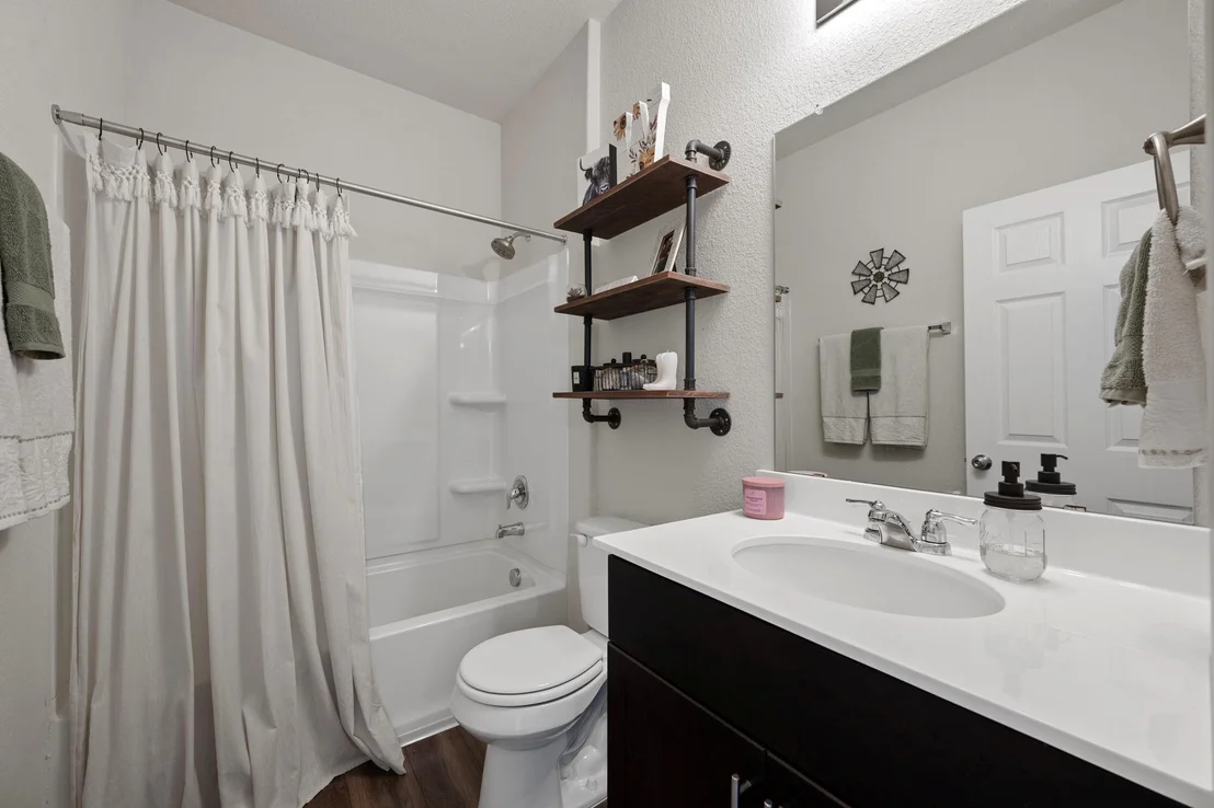 Photo of 27 Pacific Loon ST