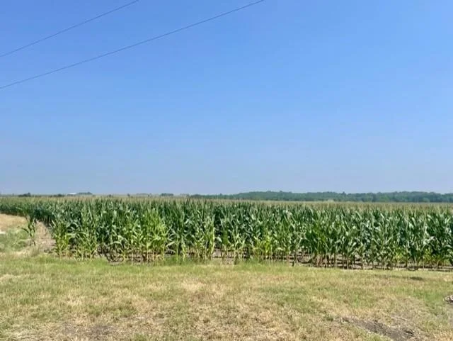 Photo of 1117 County Road 423