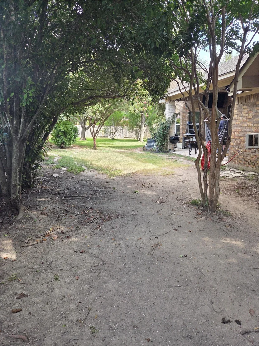 Photo of 2102 Spotted Owl CIR