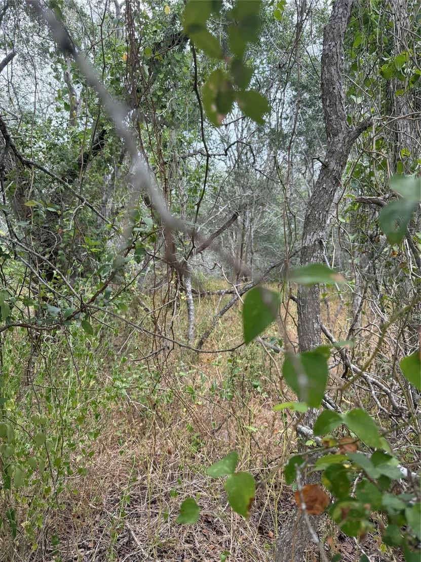 Photo of Lots 451, 452, 453 Heleakala DR
