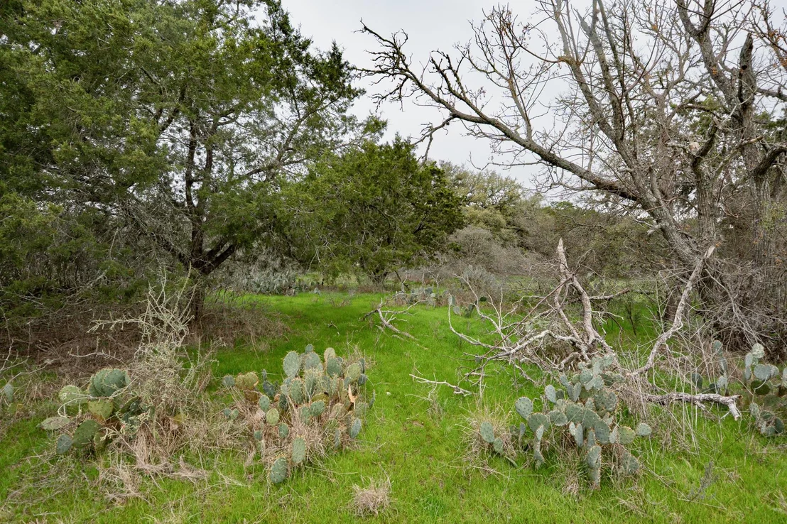 Photo of 101 Blanco River Ranch