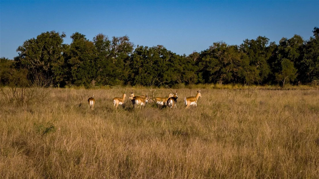 Photo of 7702 Ranch Road 965