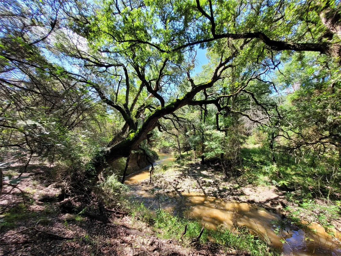 Photo of TBD CR 1139 575 Acres
