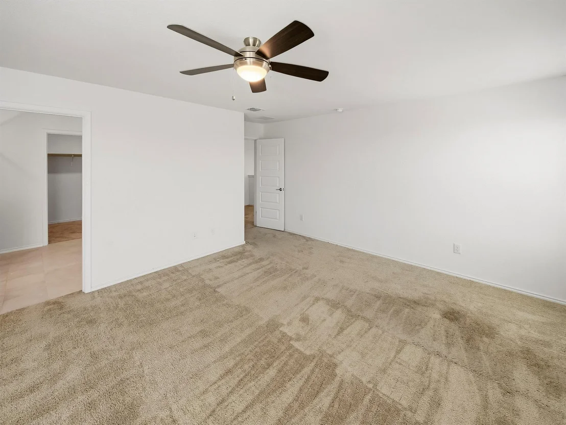 Photo of 101 Clematis CT