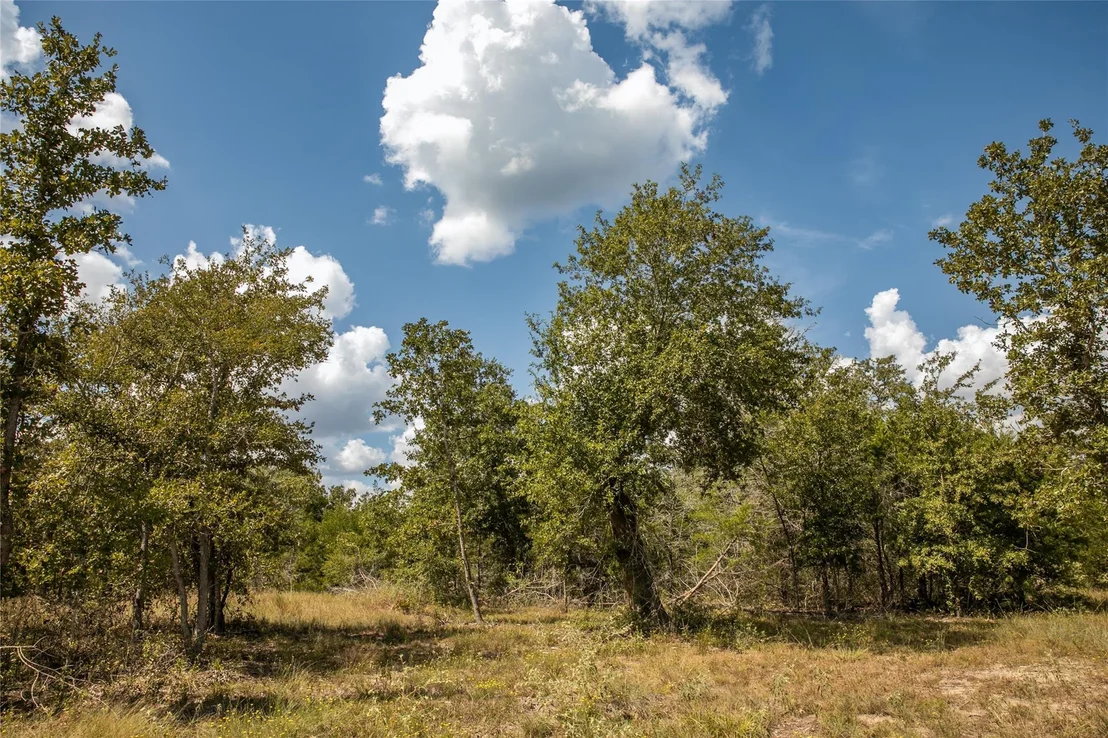 Photo of TBD FM 180