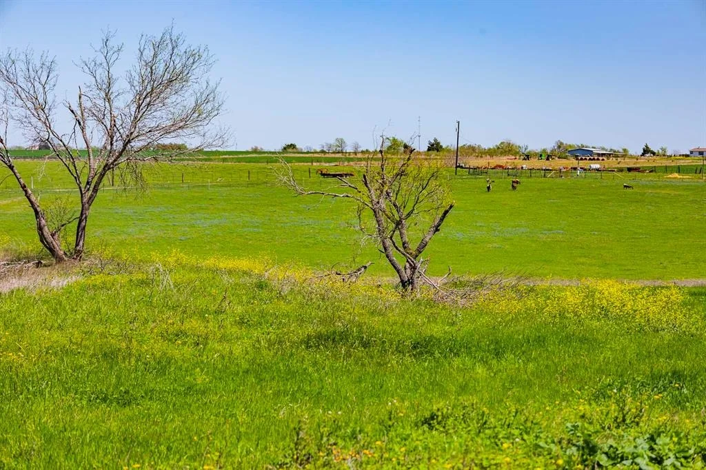 Photo of 941 County Road 405