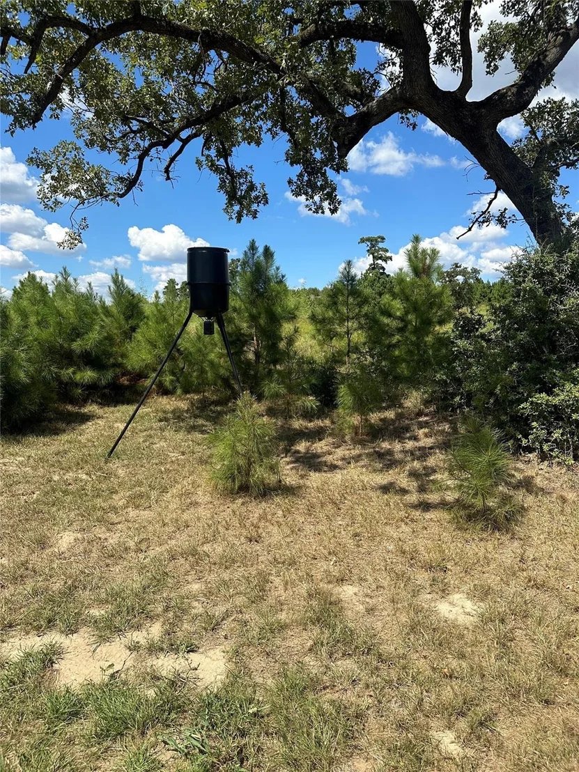 Photo of 210 Long TRL