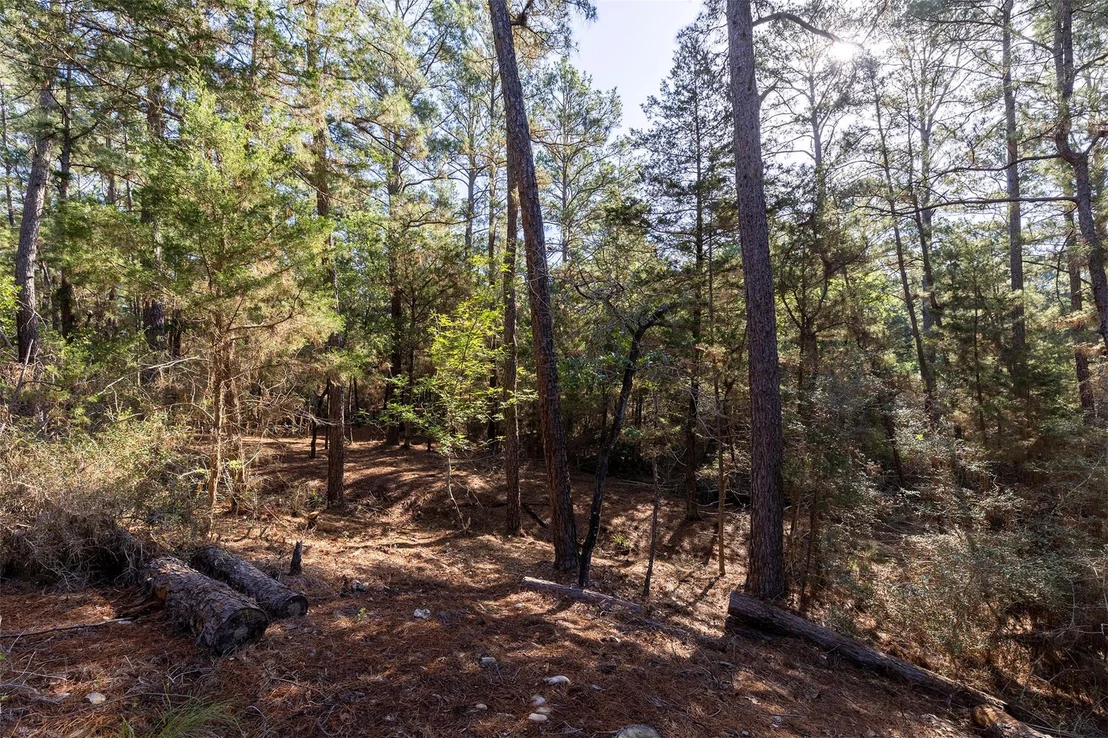 Photo of 133 Wainee DR