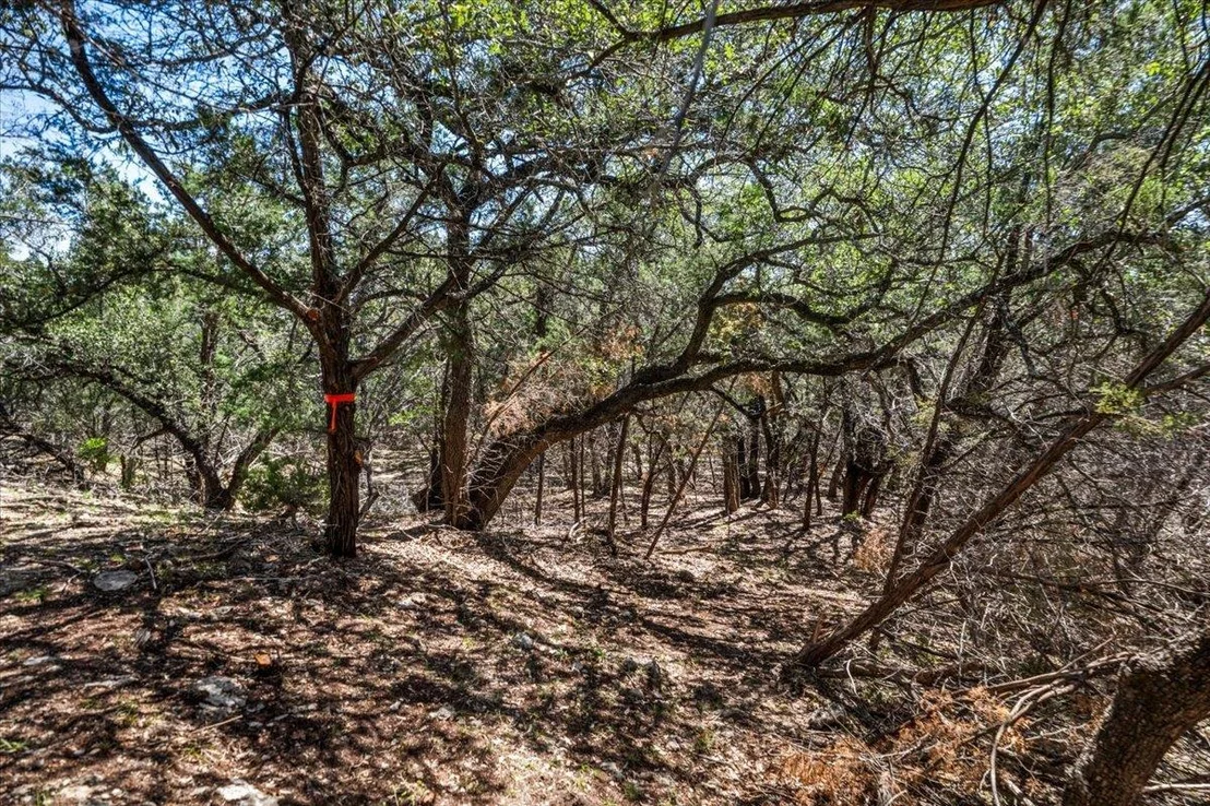 Photo of 25723 Hamilton Pool RD