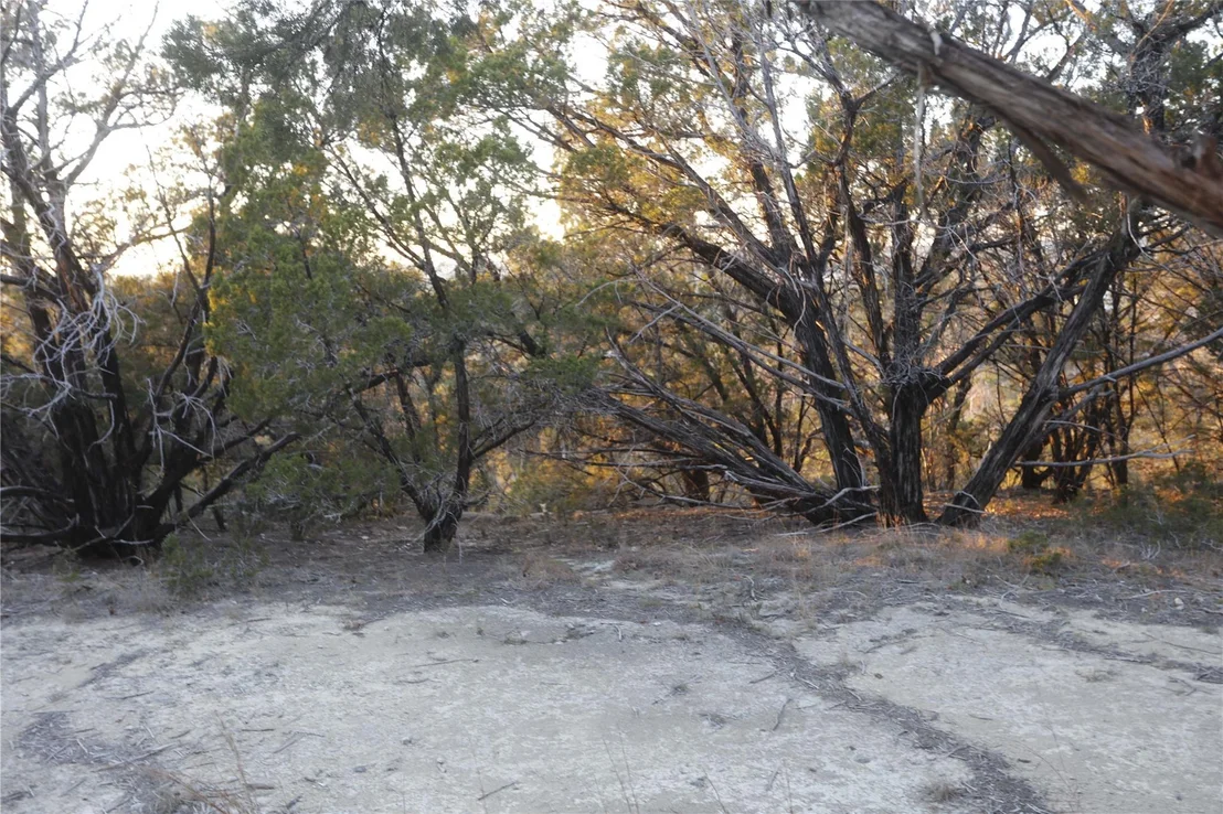 Photo of 7020 Live Oak DR