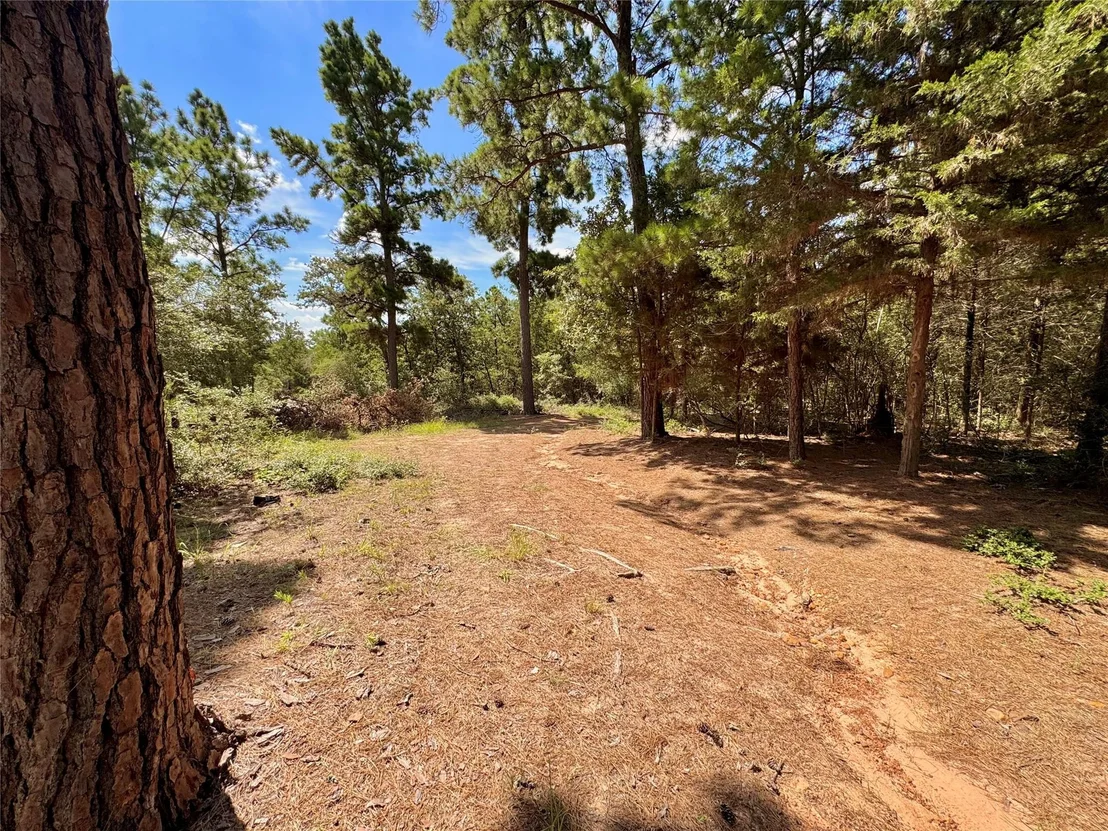 Photo of 445 Pine Valley LOOP
