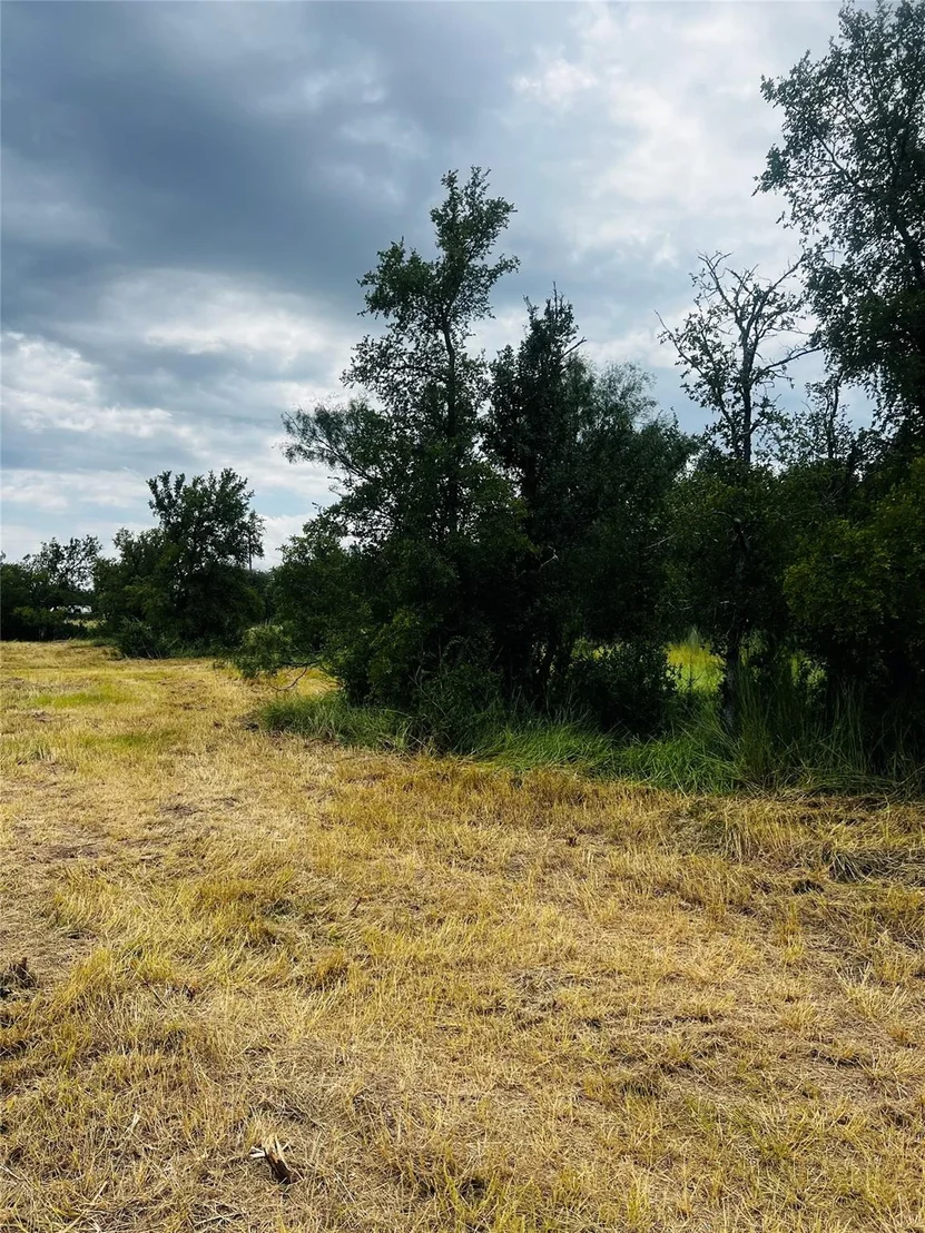 Photo of 241 Lehne LOOP