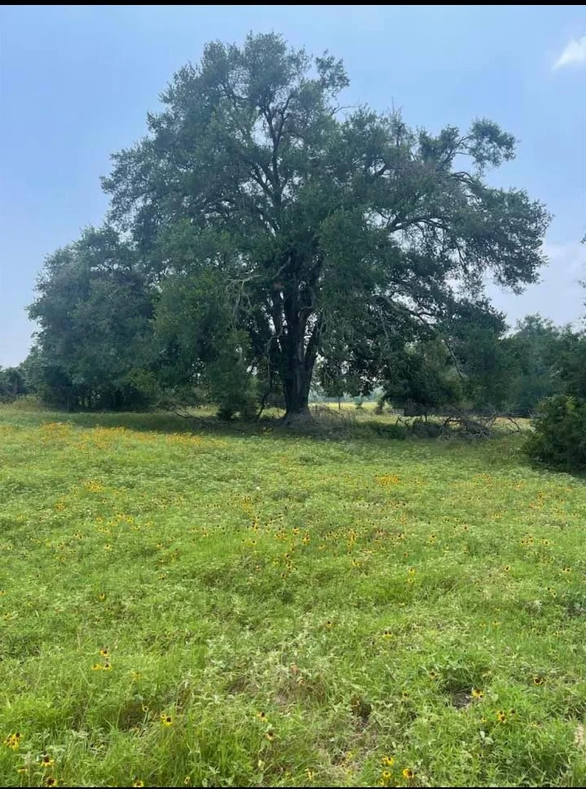 Photo of 4514 County Road 328