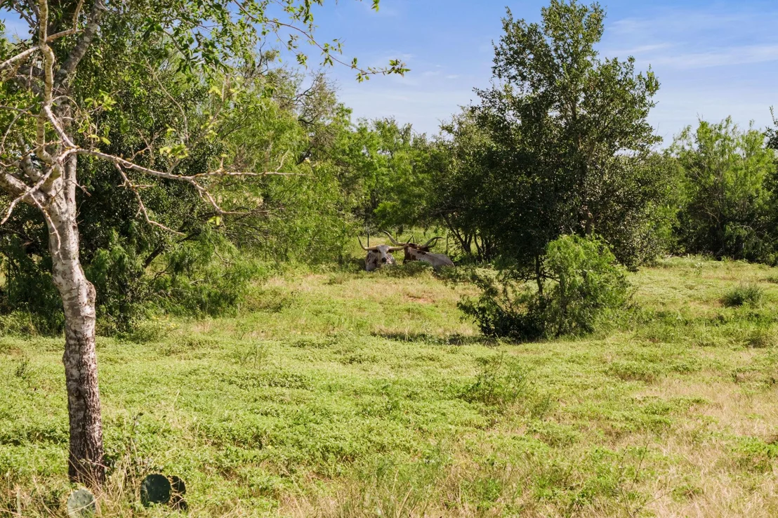 Photo of 625 Callihan RD