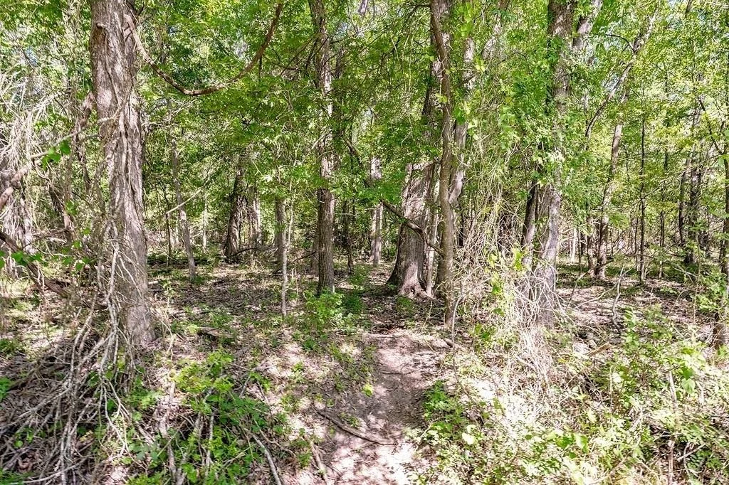 Photo of 1703 Post Oak RD