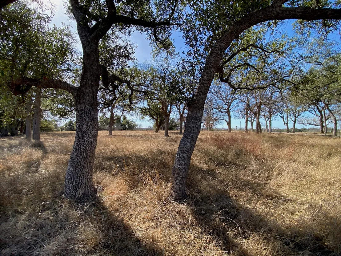 Photo of 304 Lightning Ranch PT