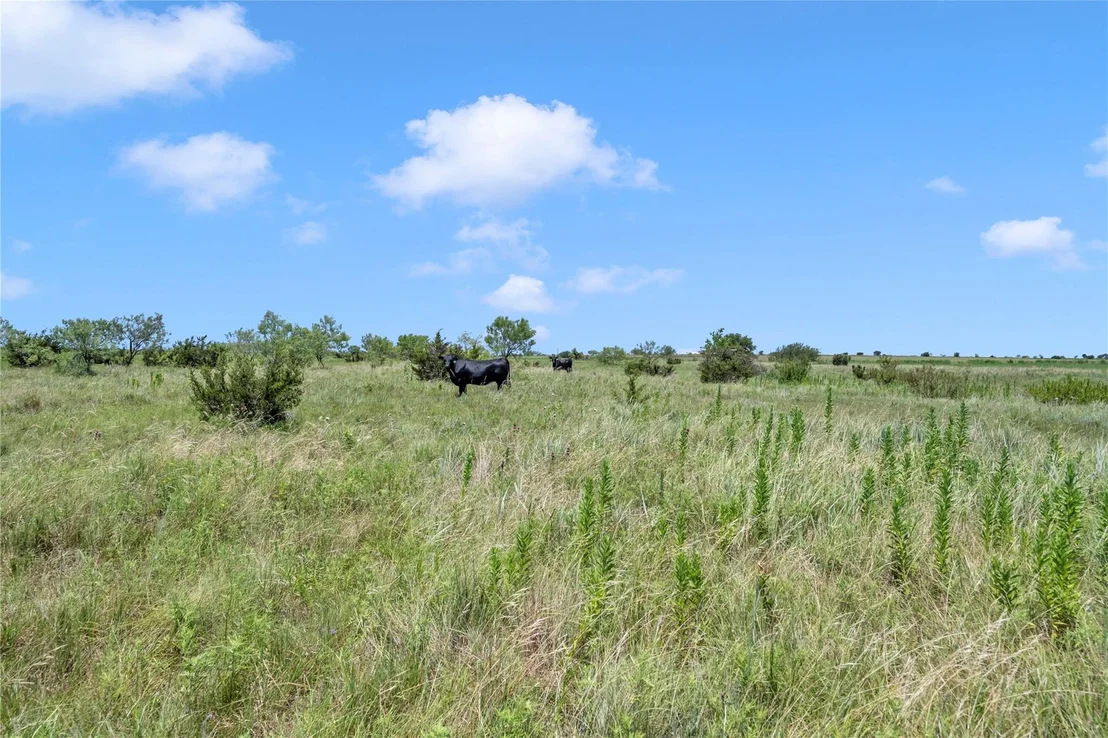 Photo of 10600 County Road 210 RD