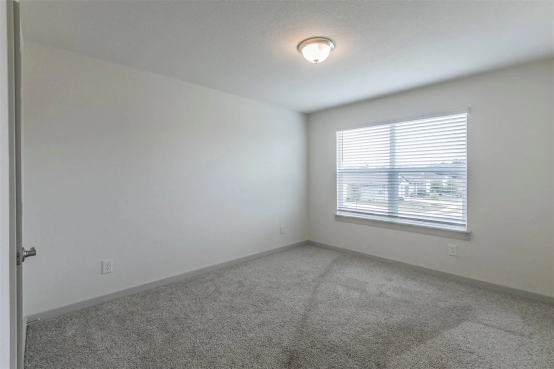 Photo of 121 Parryi CV