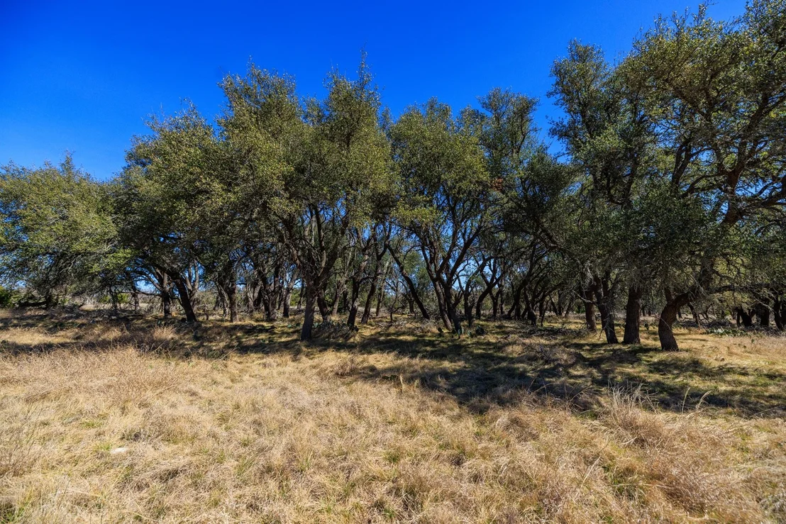 Photo of 2020 Wendel RD