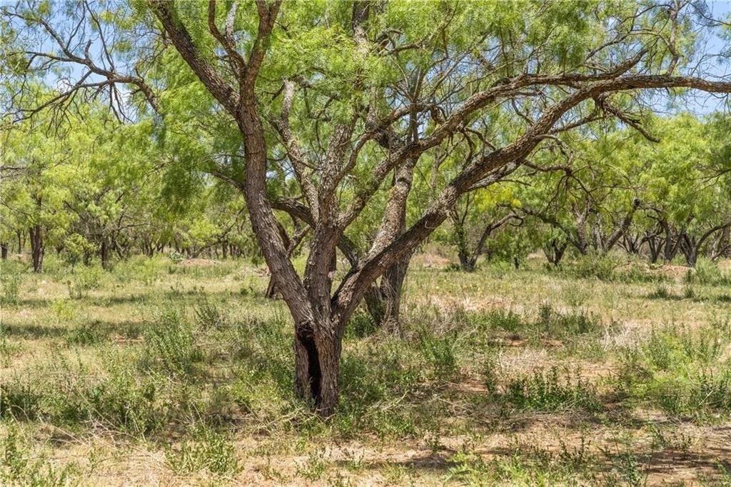 Photo of 6411 County Rd 120