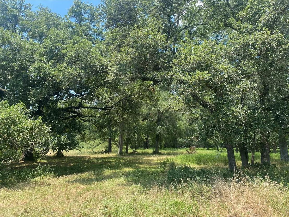 Photo of 2477 & 2525 State Highway 159