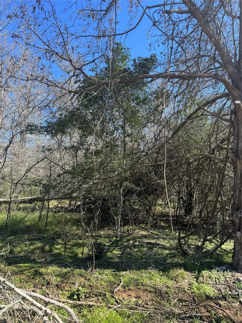 Photo of Lot 321 Kolekole LN