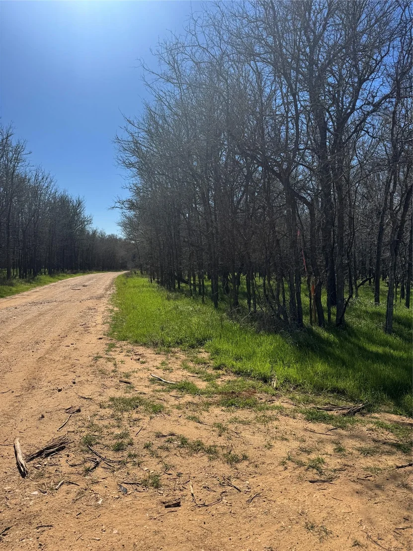 Photo of Lot 500 Kaaawa LN