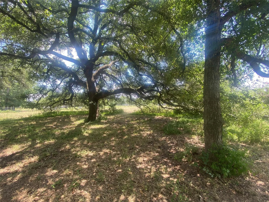 Photo of 2477 & 2525 State Highway 159