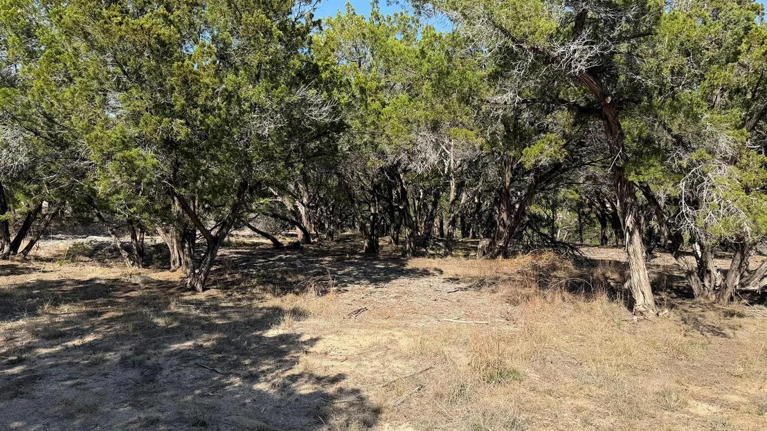 Photo of 4513 Destination WAY
