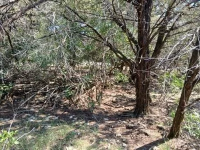 Photo of 15968 & 15974 Brazos DR