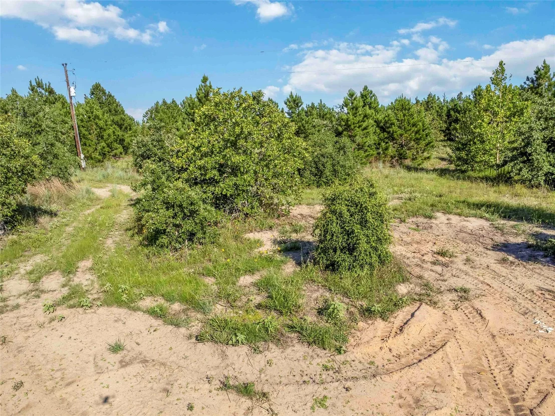 Photo of Lot 2 Autumn RDG