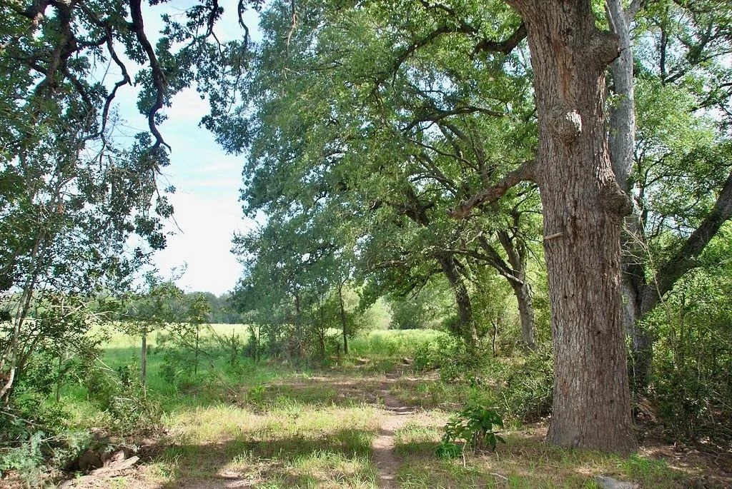 Photo of 9590 Maynard Hallmark RD