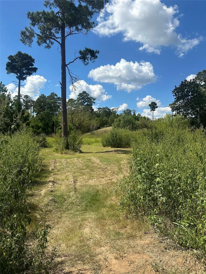 Photo of 210 Long TRL