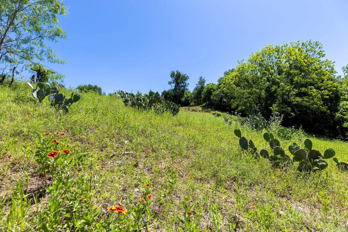 Photo of LOT 46 Kamakoa LN