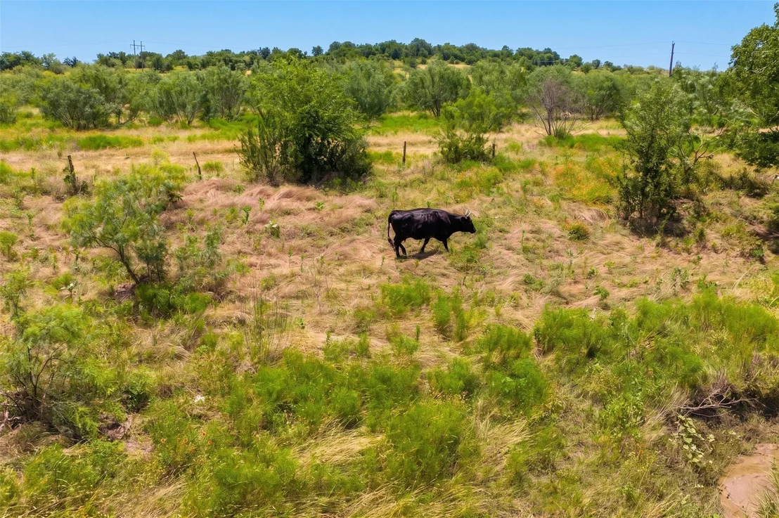 Photo of 1854 LOT 4 County Road 104