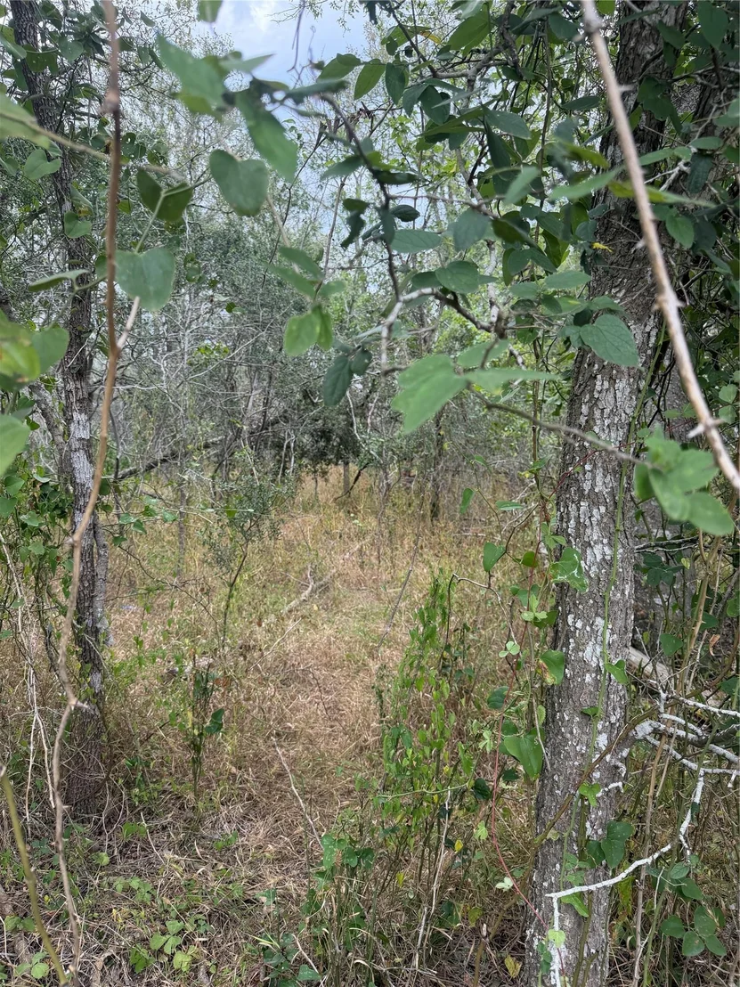 Photo of Lots 451, 452, 453 Heleakala DR