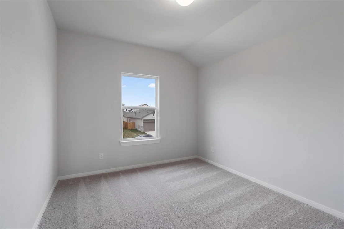Photo of 313 Stellar Wind DR