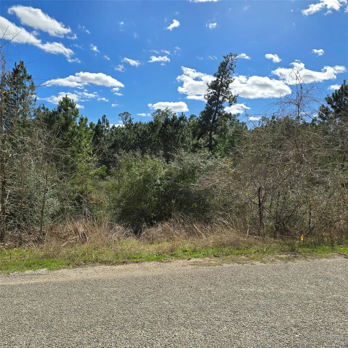 Photo of TBD Adele DR