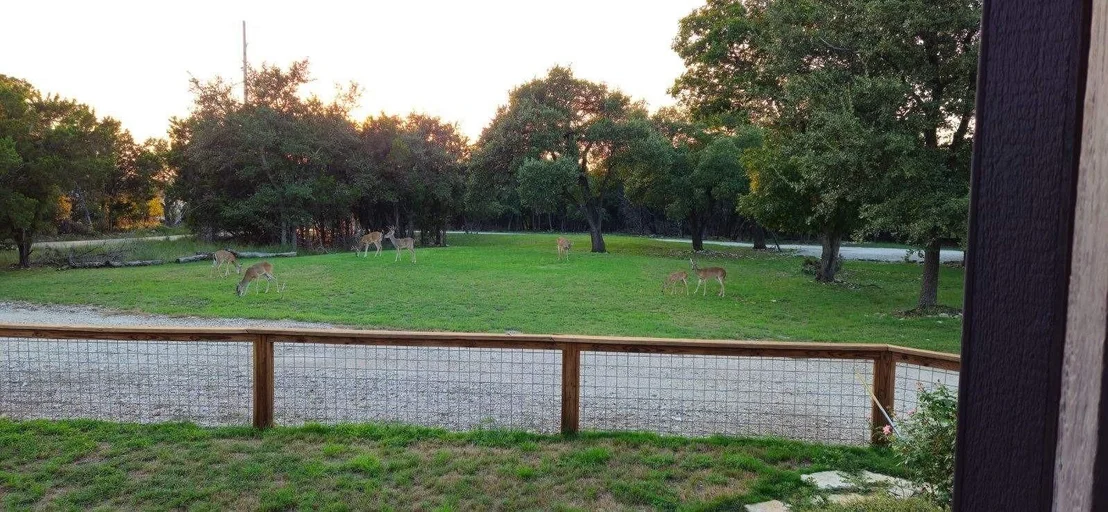 Photo of 631 County Road 270 RD