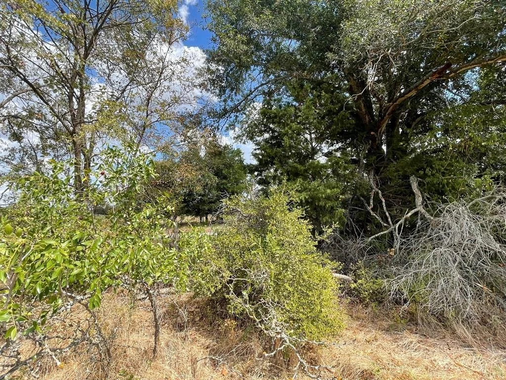 Photo of 281 E FM 979
