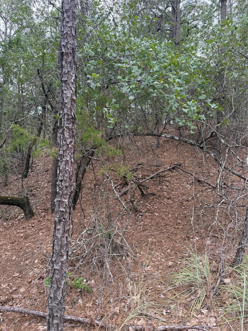 Photo of Lots 213 and 214 Hekili DR