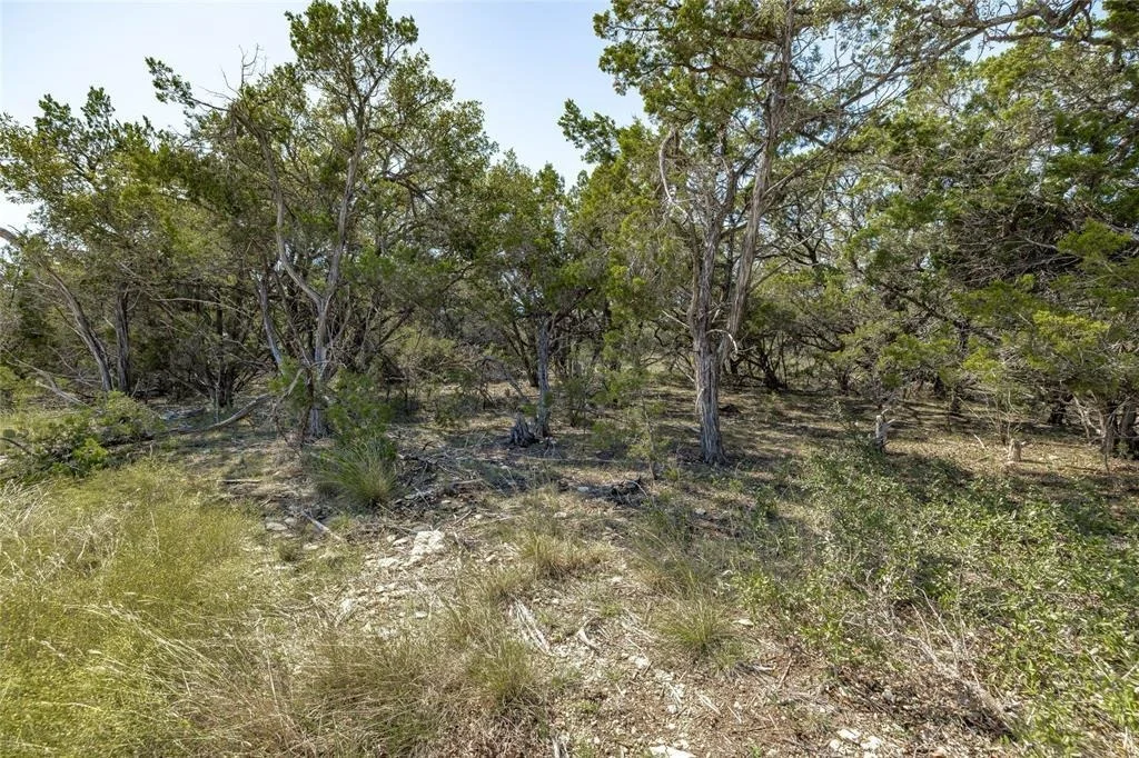 Photo of TBD County Road 281 Lot 4