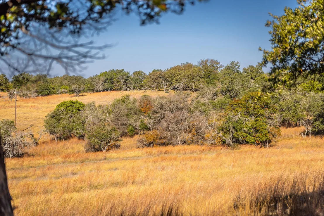 Photo of 1260 County Road 2001