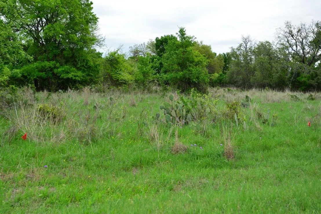 Photo of TBD Rustic TRL