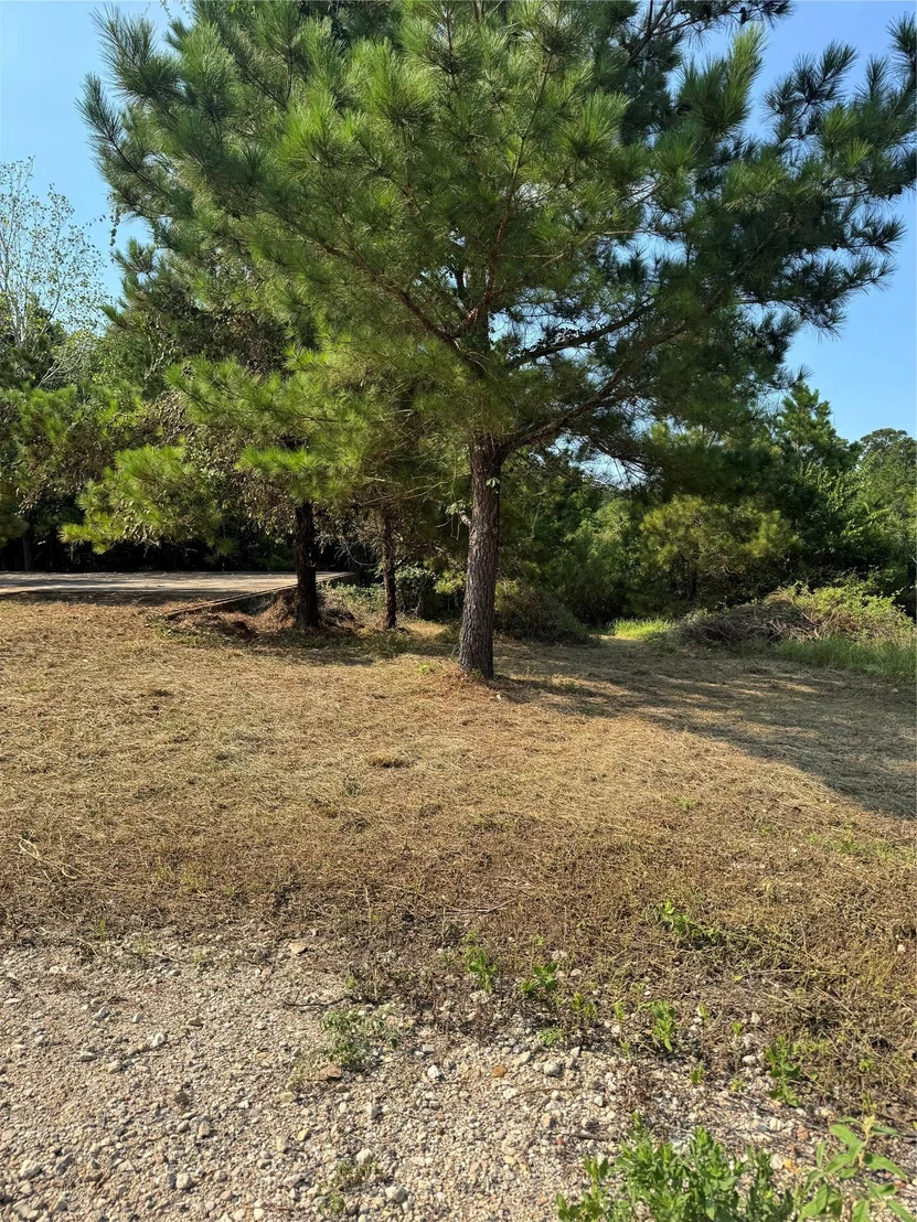 Photo of 131 Nakalele LN